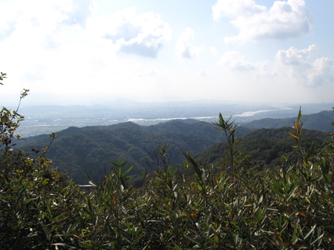 20131116hike (225)